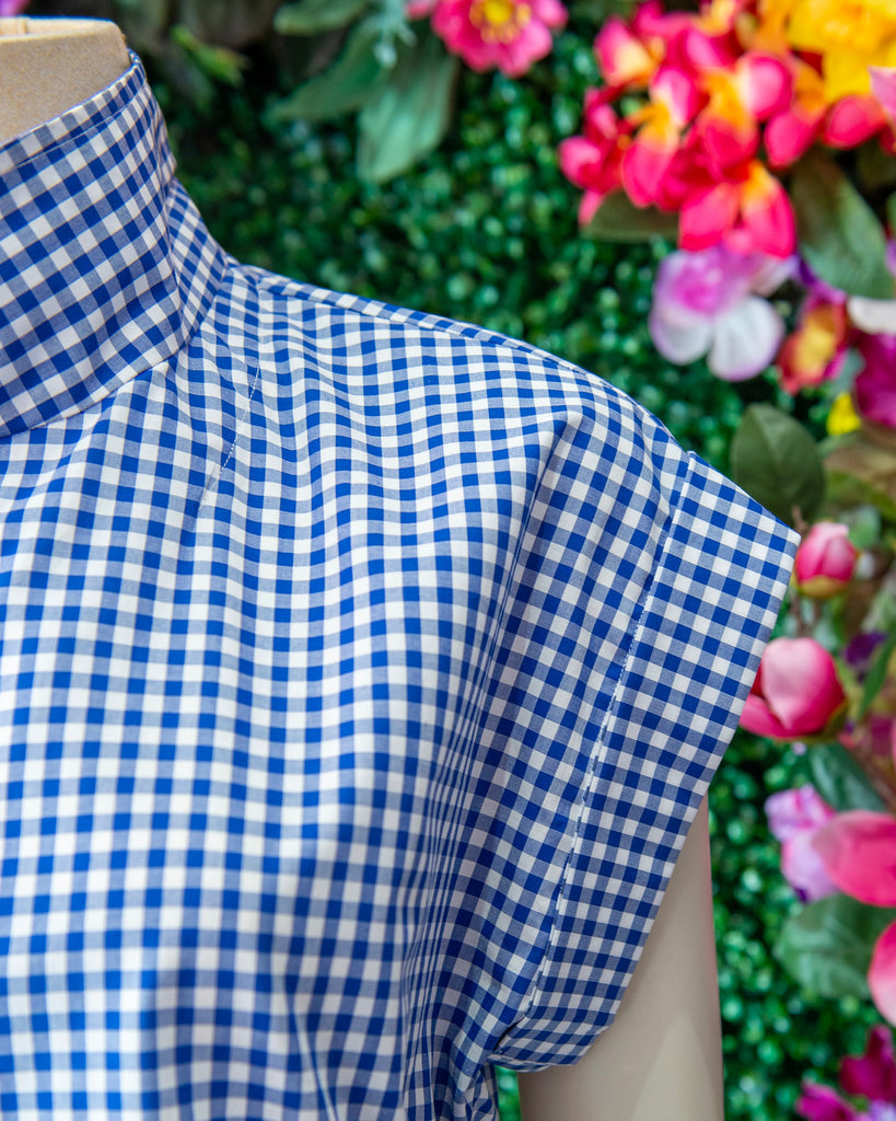 Blue Gingham Cap Sleeve Dress